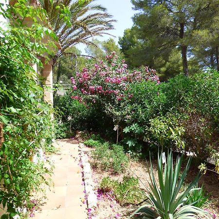 Villa Herdain Cielo de Bonaire Extérieur photo